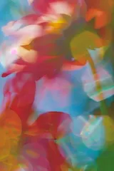 Abstract multicolour light trails